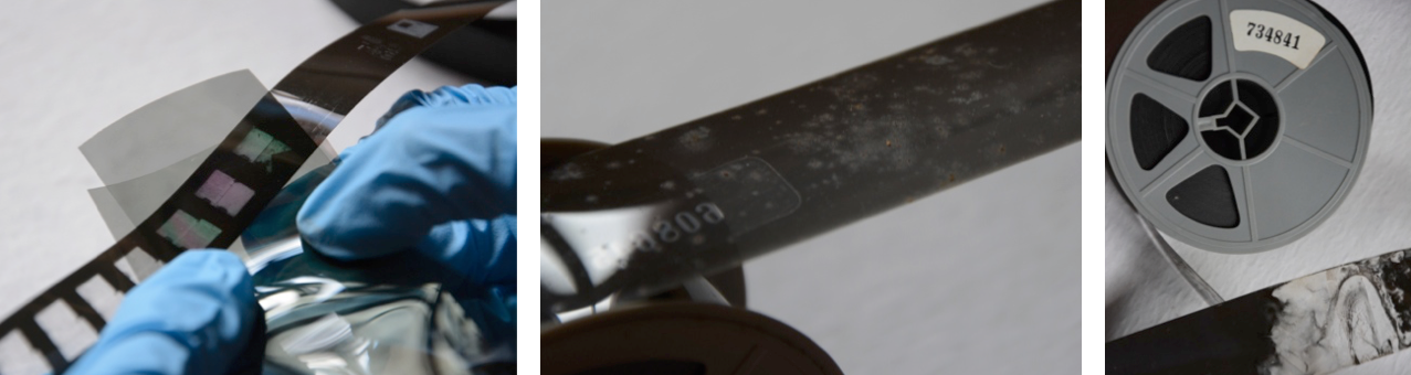 imagen difusión CRI 4
